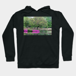 Natural Waterfront Hoodie